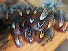 100 Mixed Pheasant Neck Cock
