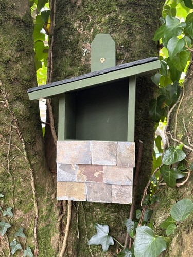 Robin birdhouse nesting box - robin, birdhouse/nesting