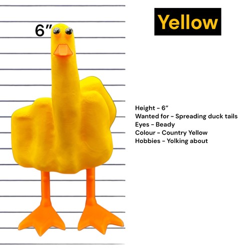 The duck you - the,