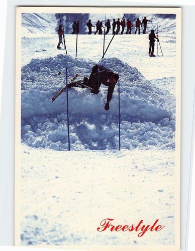 Freestyle skiing 64029 - freestyle,
