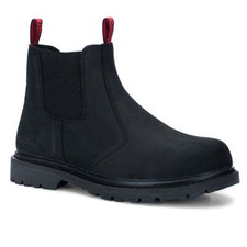 Hoggs fife zeus - of,
