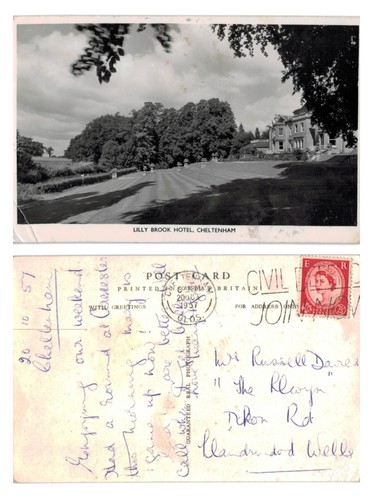 Vintage postcard lilly - postcard,