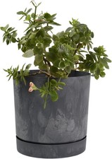 B2C Plant Pots Indoor Outdoor