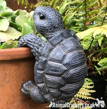 TORTOISE POT HANGER garden