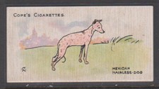 CIGARETTE CARDS Cope 1912 Dogs of the World - #40 Mexican Hairless-Dog