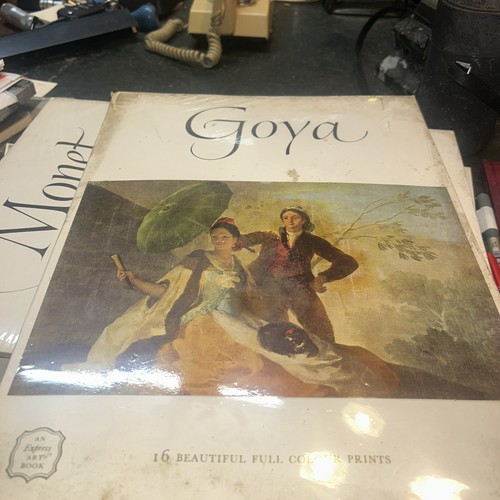 Goya beautiful full colour - goya,