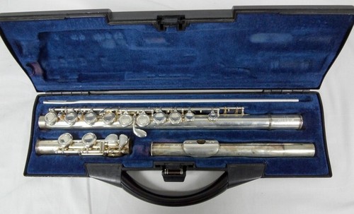 Buffet crampon bc6010 - crampon, silver