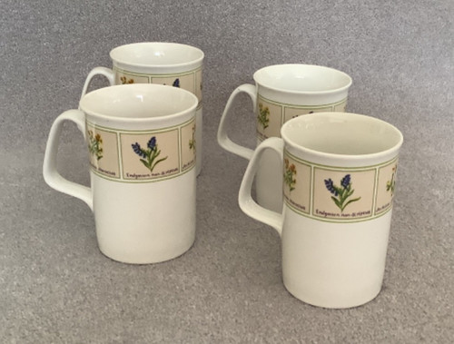 Vintage trade winds - trade,