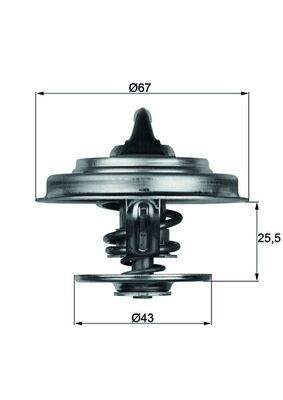 Thermostat coolant mahle tx - coolant,