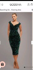 BNWT Size 10 Sequin And Velvet