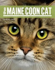 The Maine Coon Cat -