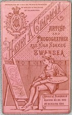 CDV PICTURE BACK ARTIST PINK EASEL BY CHAPMAN SWANSEA WALES ANTIQUE PHOTO