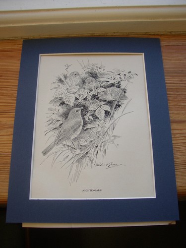 Vtg antique print mount roland - print+mount,