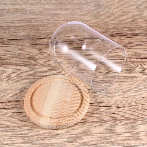 Flower dome glass - dome, cover