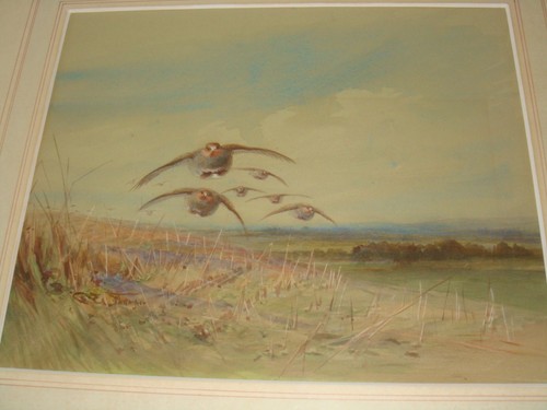 Charles whymper british - charles,
