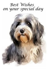 TIBETAN TERRIER DOG BIRTHDAY