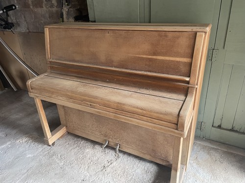 Danemann school piano - school,