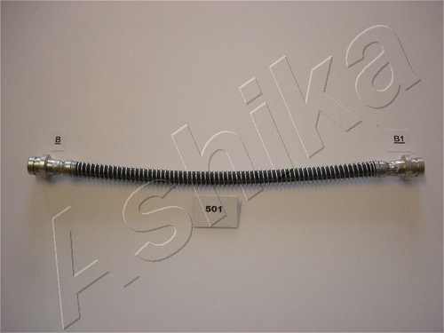 501 ashika holding - ashika,