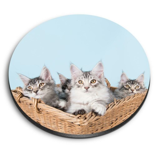 Round mdf magnets cute maine - round,