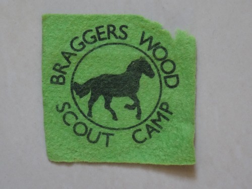 Braggers wood scout camp badge - scout,