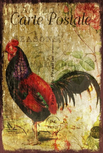 Cockerel rooster postcard - rooster,