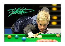 Neil Robertson Snooker player