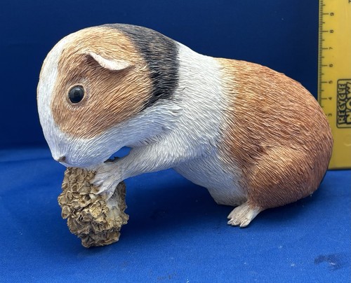 Hand painted guinea pig - hand,