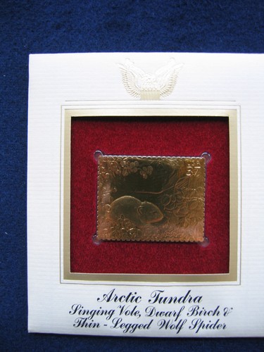 2003 arctic tundra - tundra, vole