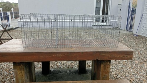 Galvanied magpie catchers - galvanied,