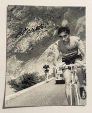 EDDY MERCKX HAND SIGNED 8x10