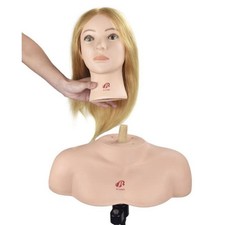 Durable Mannequin Practice