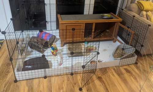 Indoor 2x5 grid rabbit - indoor,