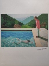 David Hockney Signed - Dive In
