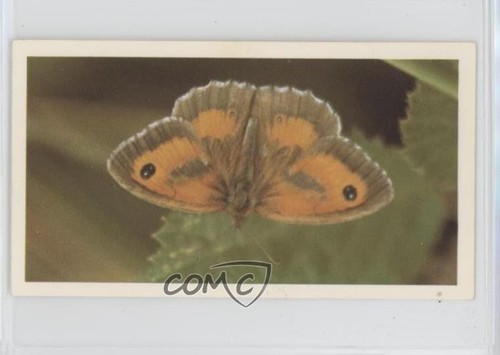 1983 grandee british - 1983,