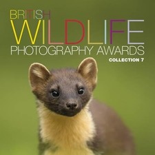 British Wildlife Photography