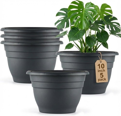 Plant pots for indoor - 10",