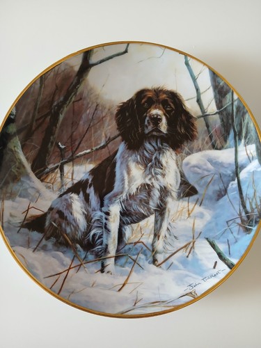 Winter companion danbury - a,