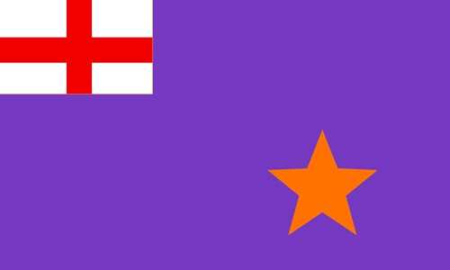 Purple standard flag - standard, 5’