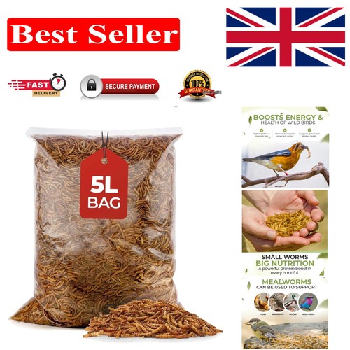 Wild bird food with - bird,