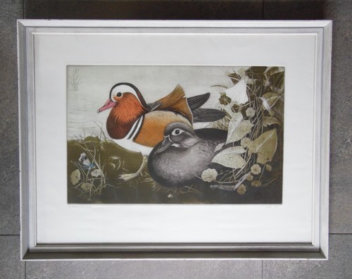 Happy pair mandarin duck - pair,,