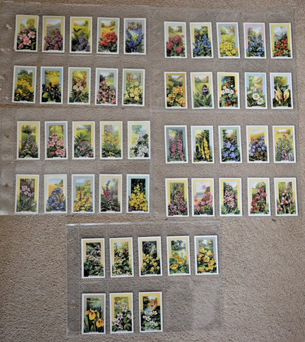 Gallaher cigarette cards - gallaher, cards: