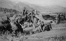 c1893 SHETLAND Print SHAWL