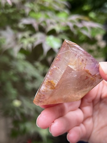 Dreamcoat lemurian seed - dreamcoat,