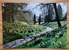 Vintage postcard used tirley - postcard,