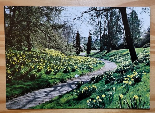 Vintage postcard used tirley - used,