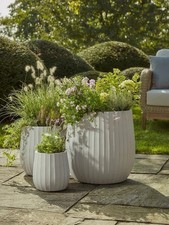 White Dove Fluted Planters