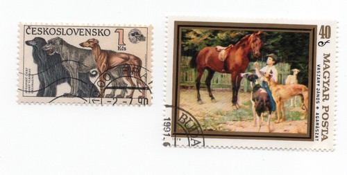 Greyhound collection - greyhound, of