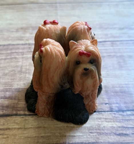 Vintage cci yorkshire terrier - yorkshire,