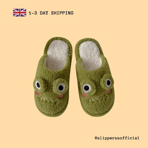 Frog slippers for - frog,