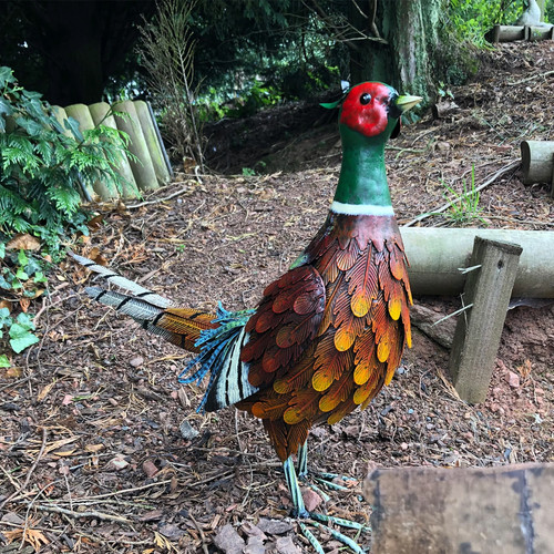 Metal ring necked pheasant - metal, ring-necked